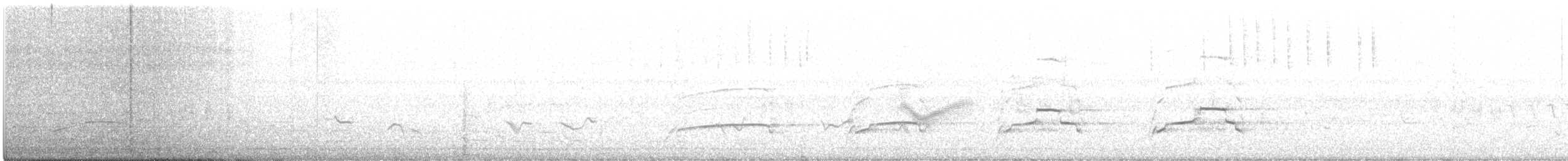 Pygargue à tête blanche - ML351219651