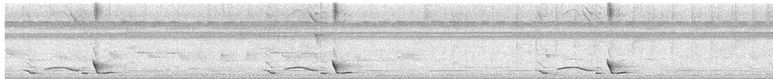 Чернобрюхий крапивник - ML351226151