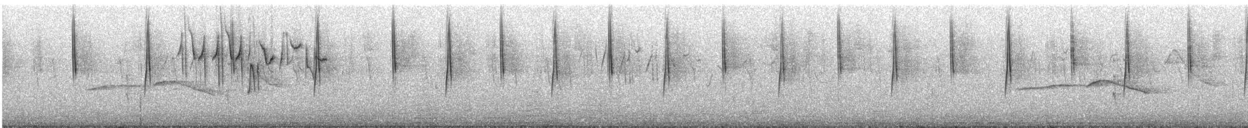 Einfarb-Hakenschnabel - ML351289941