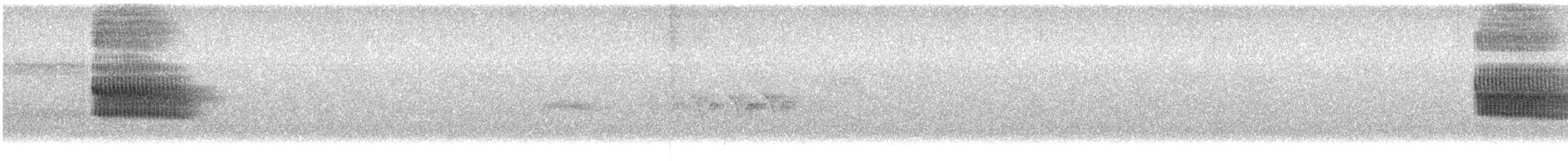 Тауї плямистий - ML351346721