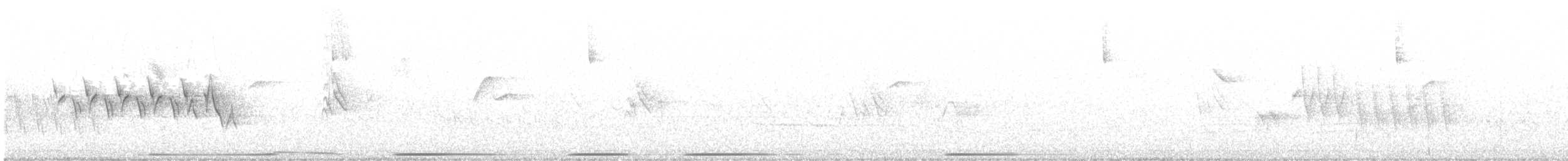 Paruline à croupion jaune (auduboni) - ML351377681