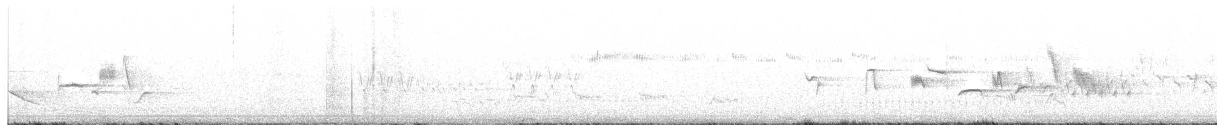 Tilki Renkli Serçe [schistacea grubu] - ML351383831