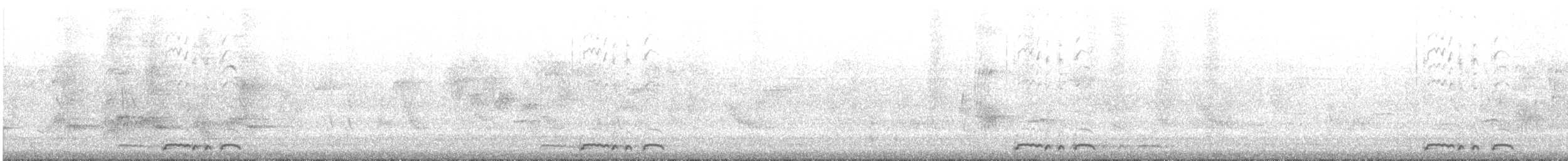 holoubek vlnkovaný - ML351395071