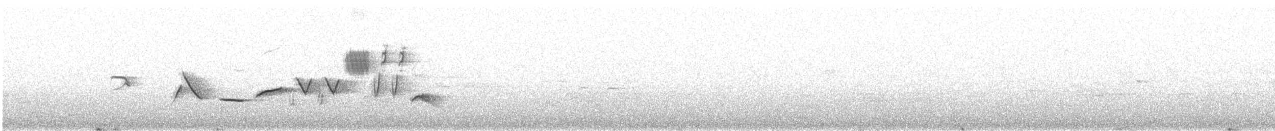 Пестрогрудая овсянка [группа schistacea] - ML351410741