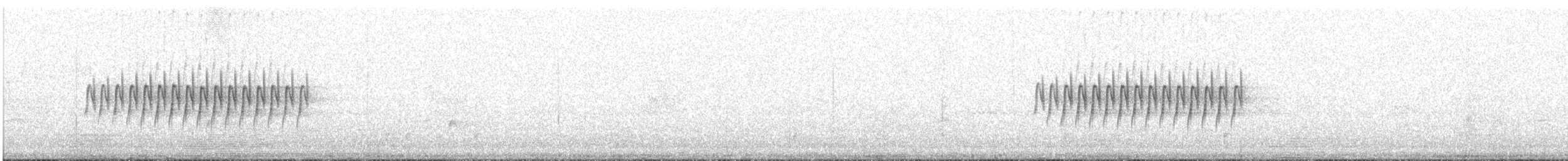 strnadec zimní [skupina oreganus] - ML351463591