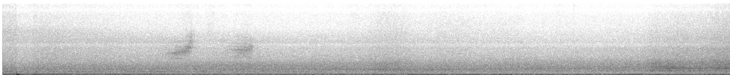 Eastern Warbling Vireo - ML351470551