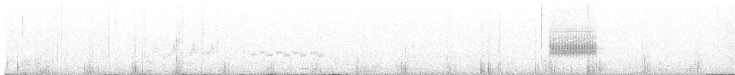 Kaya Çıtkuşu - ML351491281