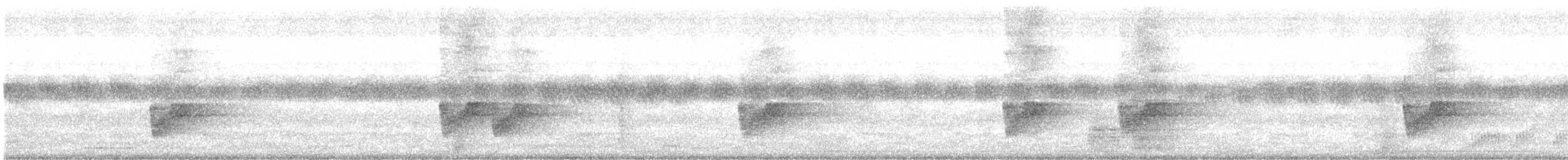 Savannennachtschwalbe - ML351500691