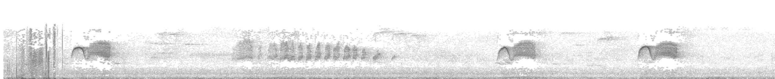 ツキヒメハエトリ - ML351532581