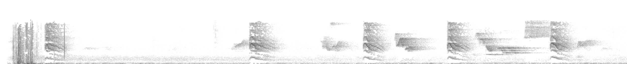 シルスイキツツキ - ML351532751