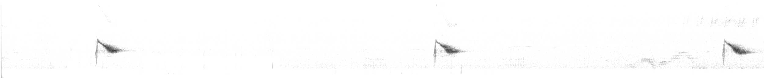 ヒスパニオラチャツグミ - ML351535231