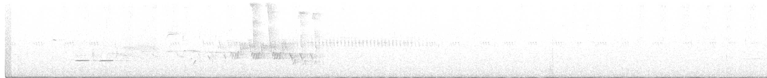 Черногорлая хвойница - ML351540811