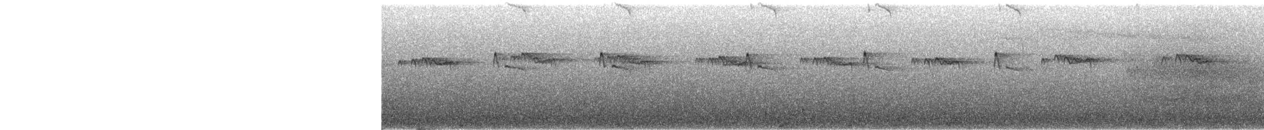 Индиговый зимородок (nigrirostris) - ML351549311