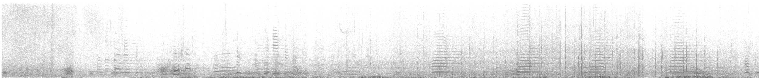 Cisne Trompetero - ML351555951