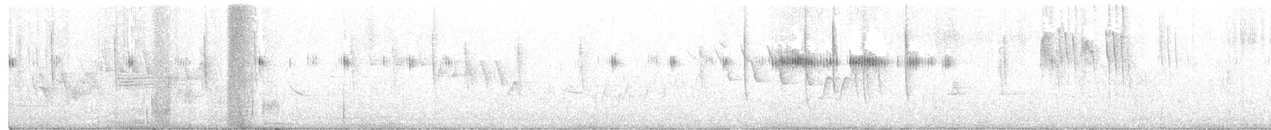 Calliope Hummingbird - ML351558931