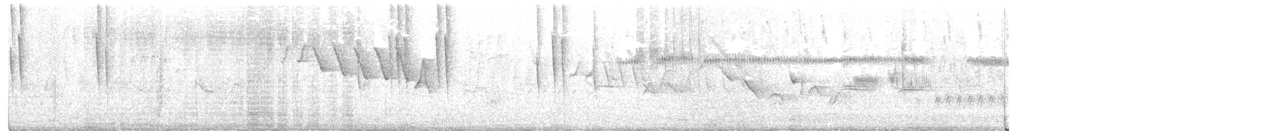 Broad-tailed Hummingbird - ML351559171