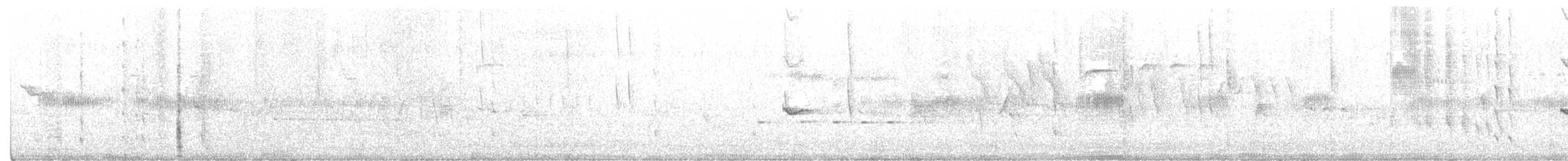 Broad-tailed Hummingbird - ML351559231