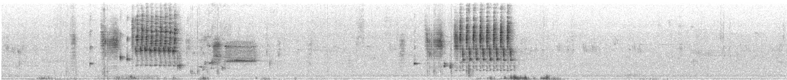 Troglodyte des marais - ML351563911