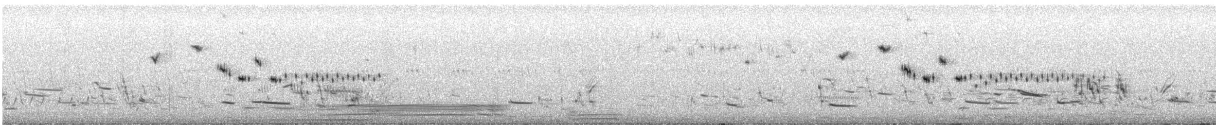 Bairdammer - ML351584121