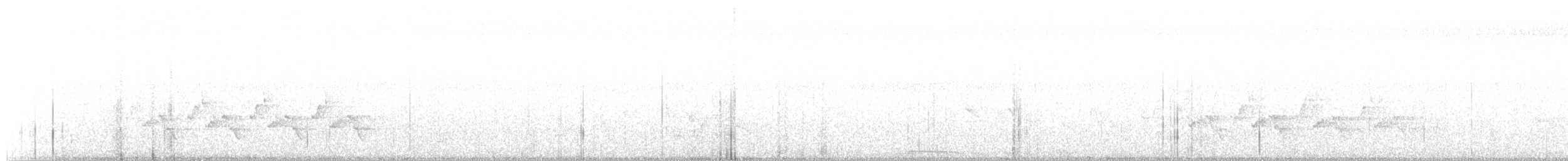 Каролинский крапивник - ML351584861