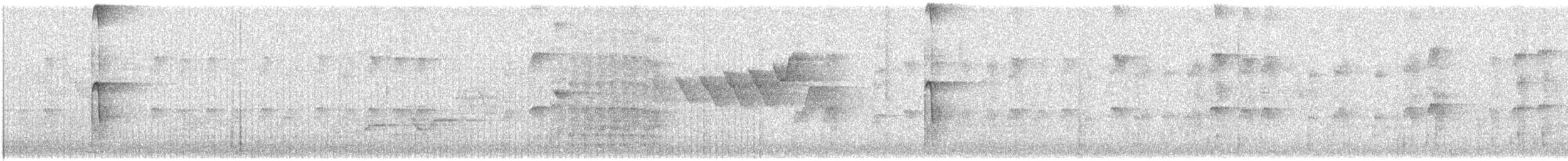 Pic chevelu - ML351598601
