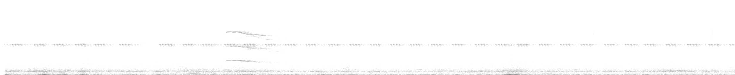 Ушастая сова (otus/canariensis) - ML351603221