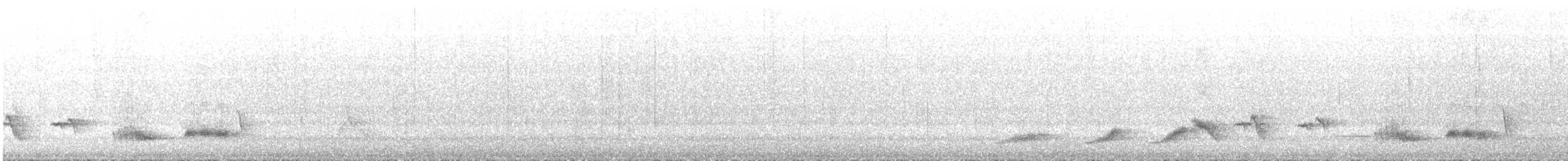 Shama à croupion blanc (groupe malabaricus) - ML351645251