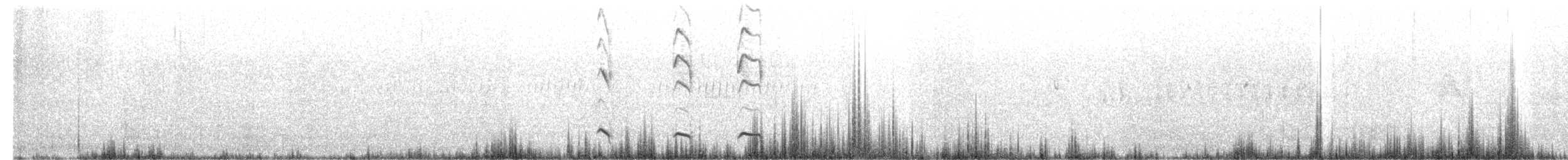 Tawny Antpitta - ML351726031