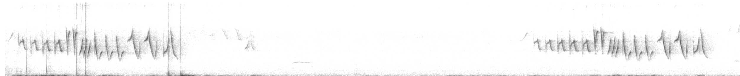 papežík lazurový x indigový (hybrid) - ML351742361