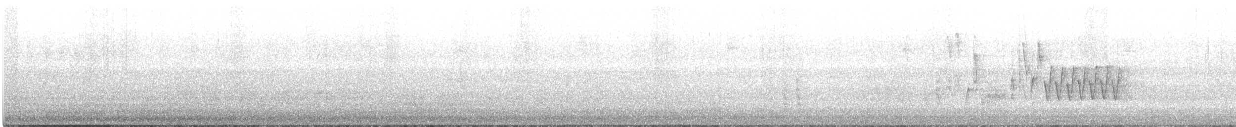 Northern House Wren - ML351747201