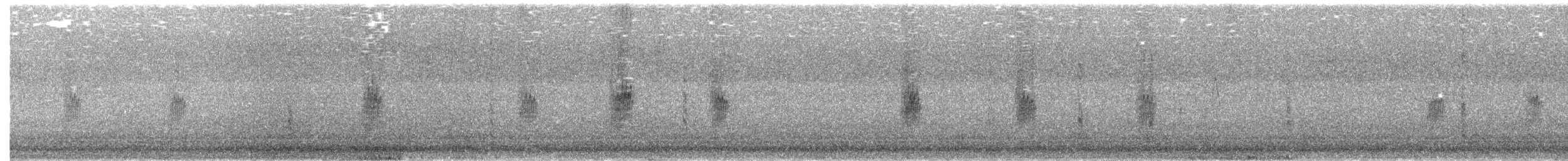 Kuzeyli Sert Kanatlı Kırlangıç - ML351755041