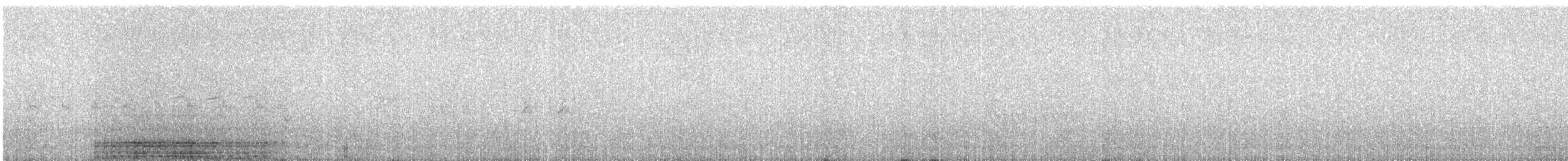 strakapoud bělohlavý - ML351790861
