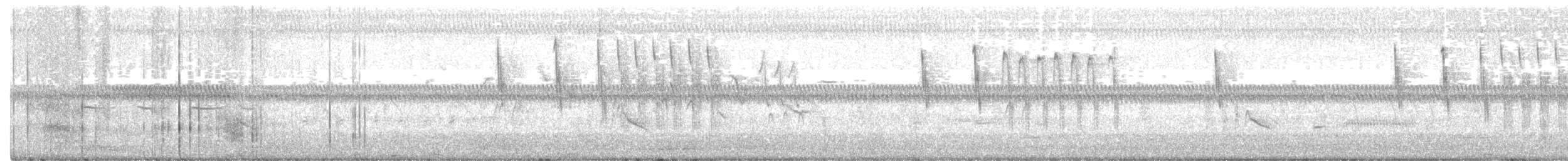 Troglodyte à bec court - ML351819521