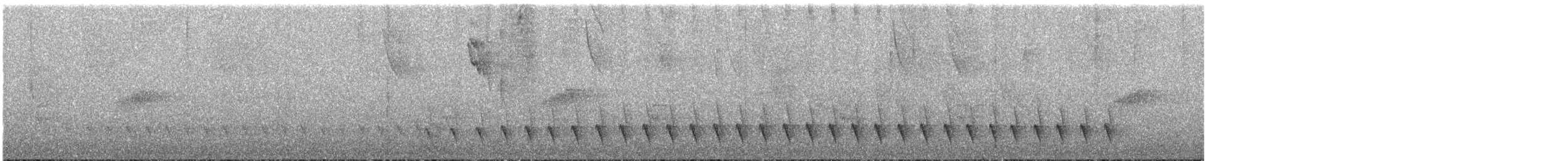 ズキンヒメアリサザイ - ML351864481