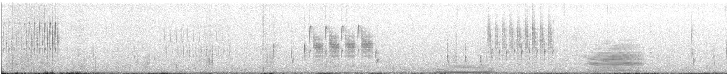 Troglodyte des marais - ML351878991