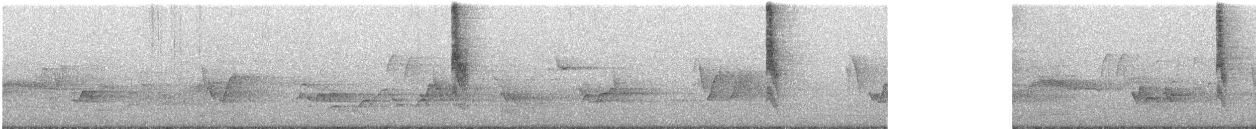 Pacific Wren - ML351920081