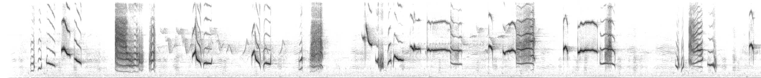 Miaulari grisa - ML351927081