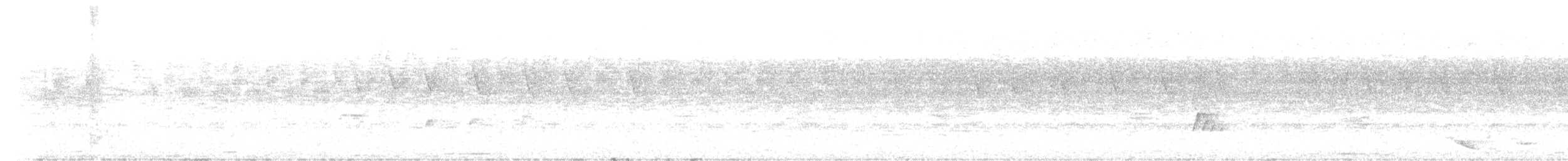 Çizgili Gerdanlı Todi Tiranı - ML352038211