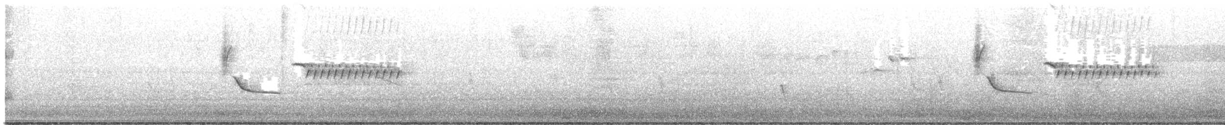 Bewick's Wren - ML352040931