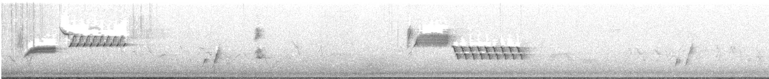 Bewick's Wren - ML352041431