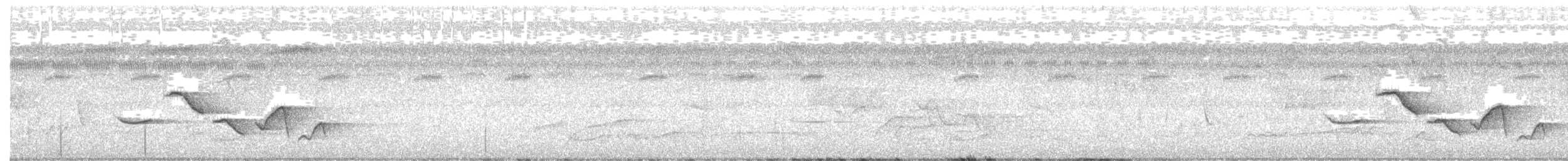 Поплітник плямистий - ML352049391
