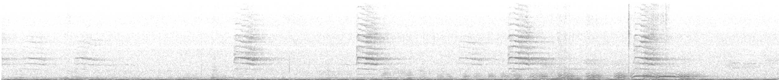 Chouette rayée - ML352059531