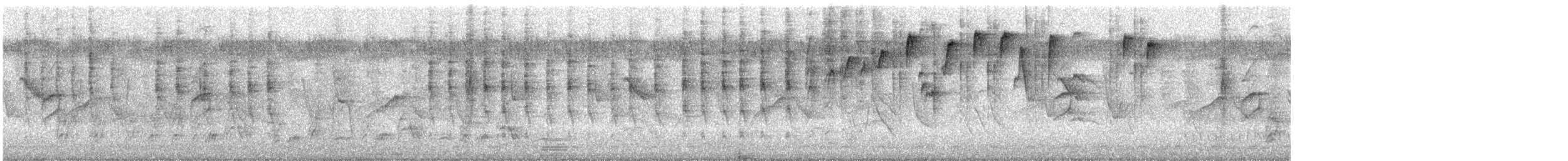 Suimanga Colilargo - ML352119171