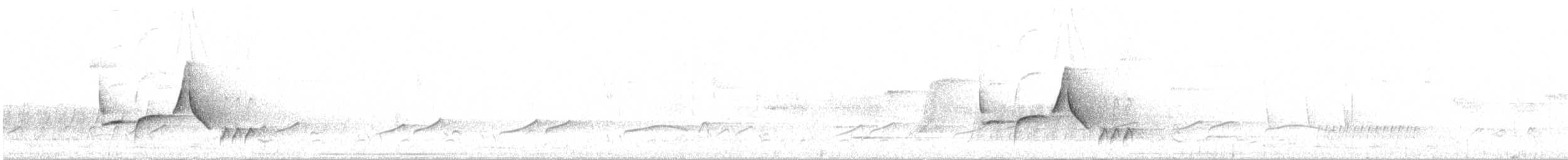 Гвианский крапивник - ML352121141