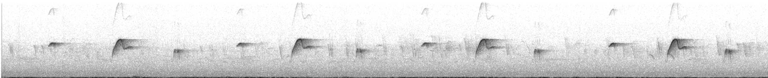 Batı Amerika Sinekkapanı (occidentalis/hellmayri) - ML352139811