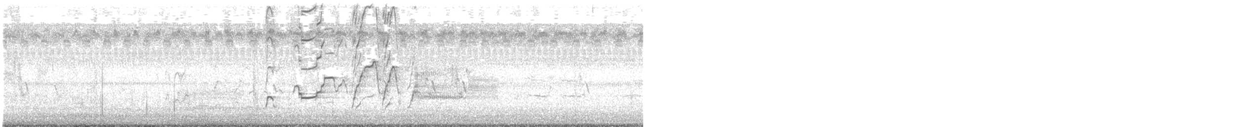 Dendrocygne à ventre noir - ML352160031