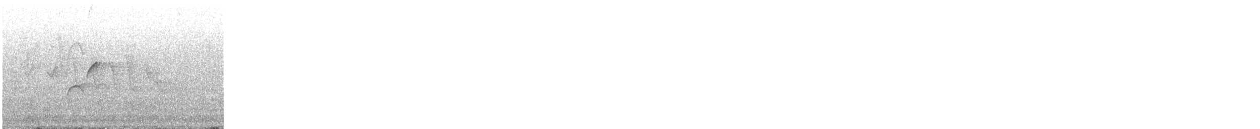 Batı Amerika Sinekkapanı (occidentalis/hellmayri) - ML352249191