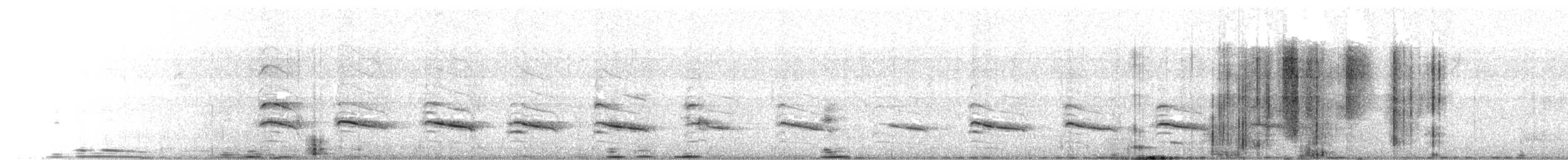 Rotschulterbussard (elegans) - ML352269991