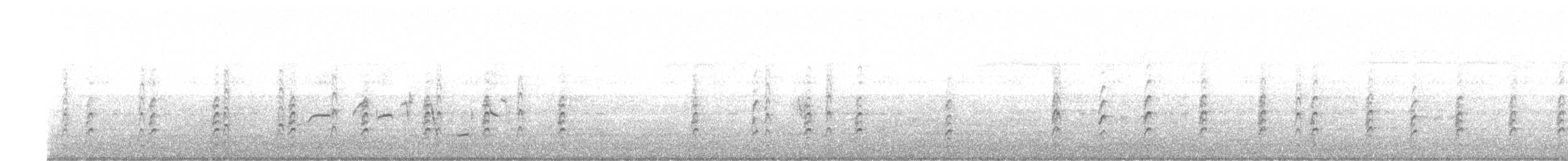 svartkronestylteløper (mexicanus) - ML352313181