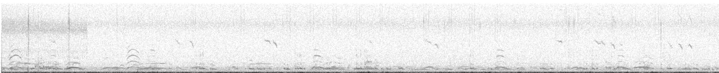 Cygne siffleur - ML352385821